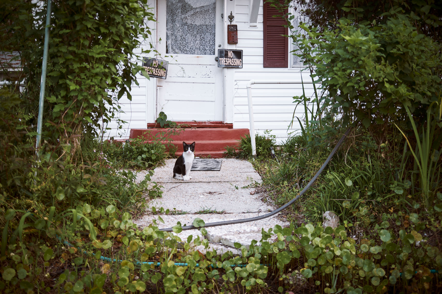thirdcoast012.JPG